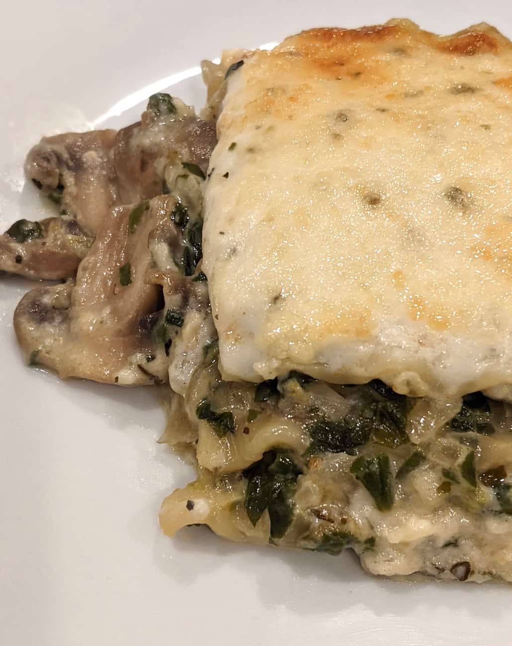 portobello mushroom lasagna